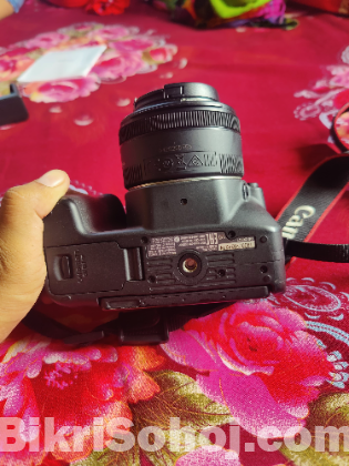 Canon 200D With Prime Lens and Sandisk Original 64GB Memory